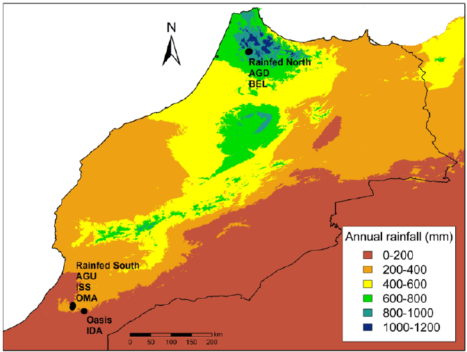 lluvia marruecos.png